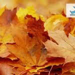 ოქტომბრის თვის იაფი ავიაბილეთები shamodgomis iafi aviabiletebi