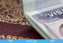 ვიზების ტიპები და განმარტებები ვიზების ტიპები