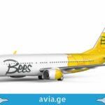Bees Airlines / ბის ავიხაზები ბლეს ეარლაინ