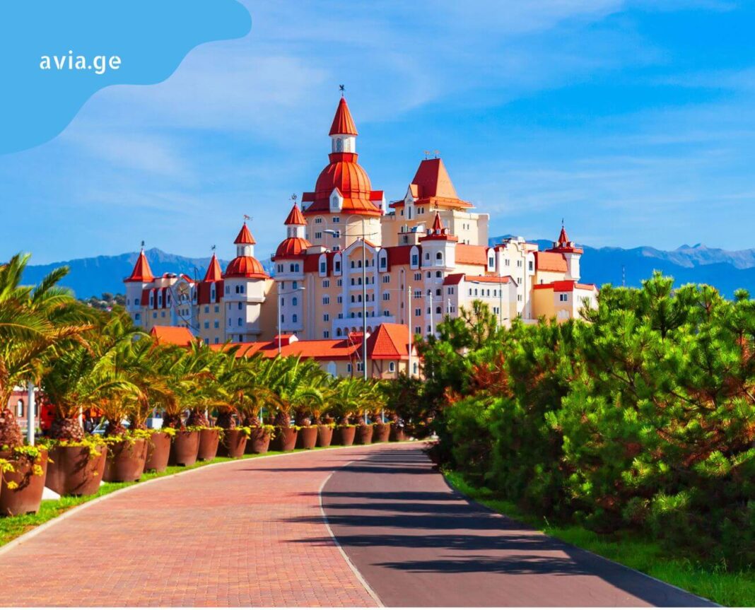 tbilisi sochi aviabiletebi tbilisi sochi frenebi