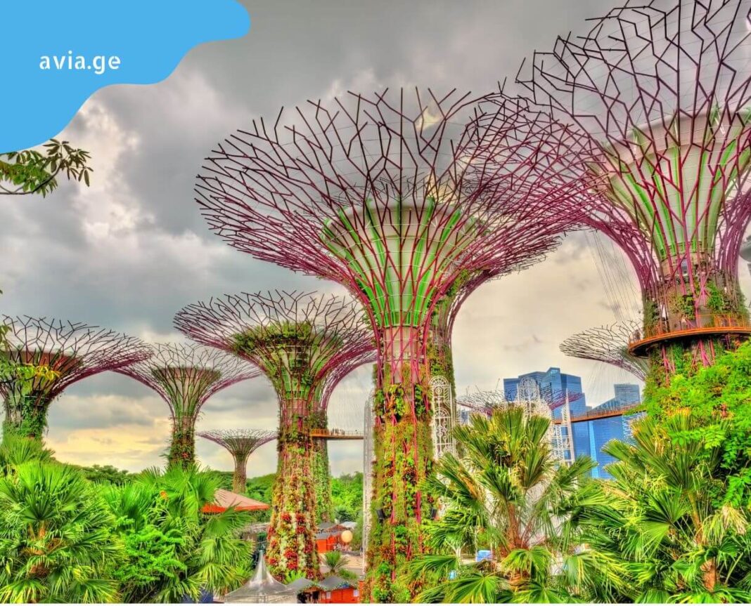 tbilisi singapuri aviabiletebi tbilisi singapore flights