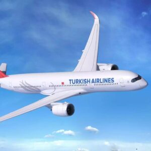 turkish airlines georgia