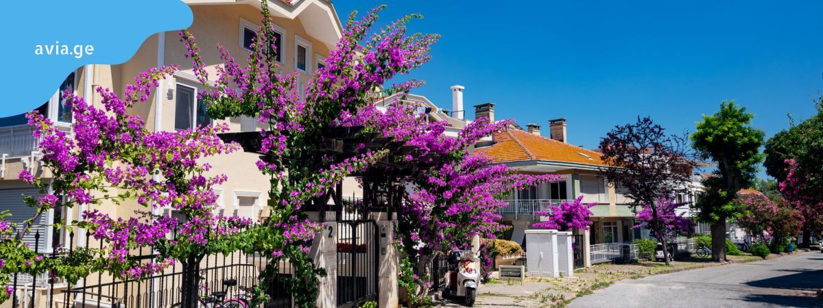 prince's islands istanbul