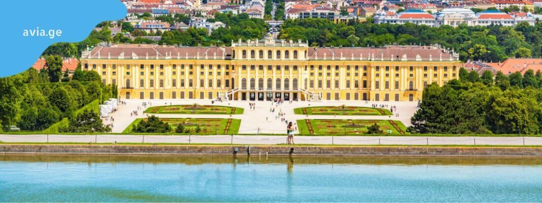 shonbrunis sasaxle vena shonbrunis sasaxle vena