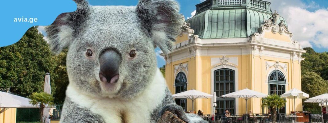 schönbrunn zoo schönbrunn zoo