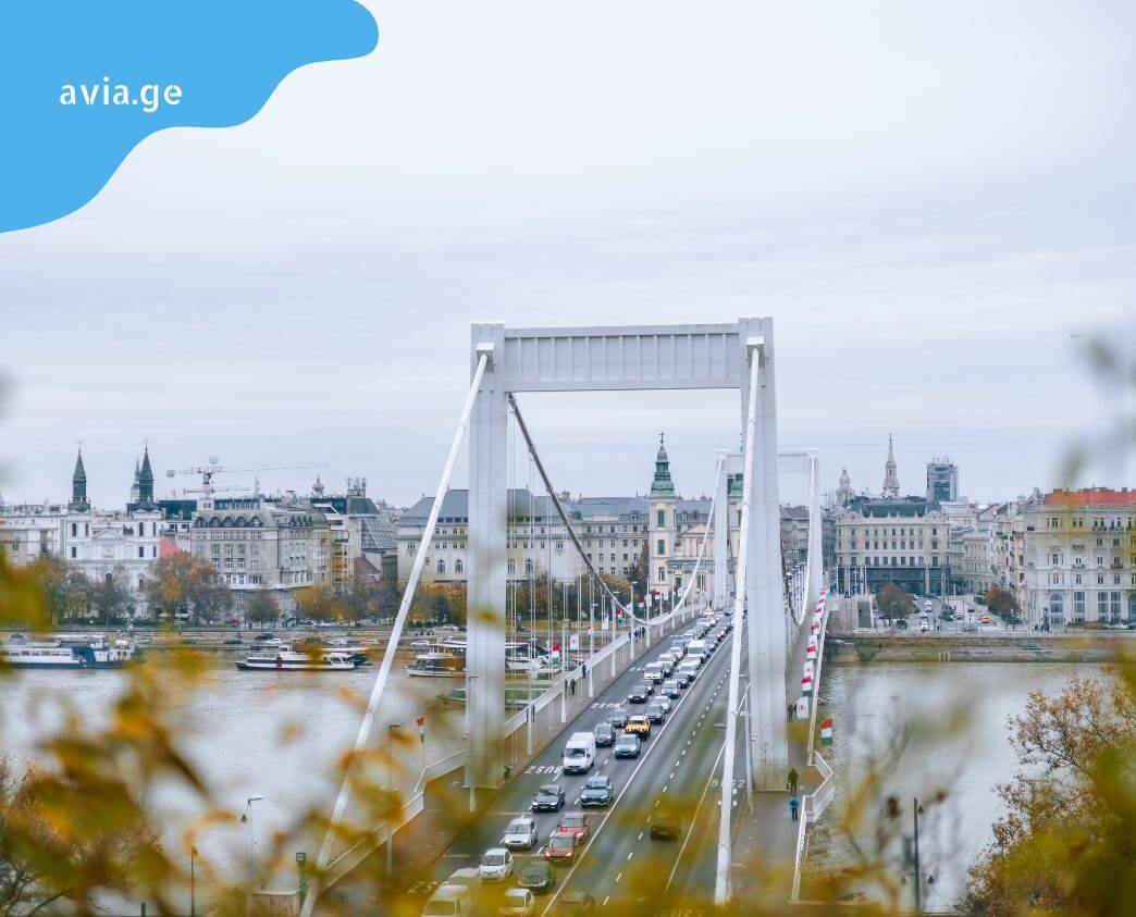 tbilisi budapeshti aviabiletebi tbilisi budapeshti aviabiletebi