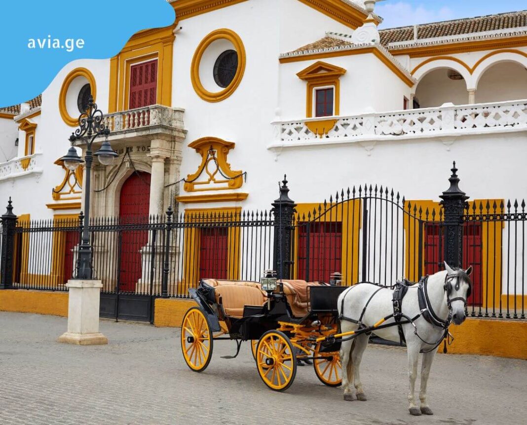 tbilisi sevilia aviabiletebi tbilisi sevilia aviabiletebi