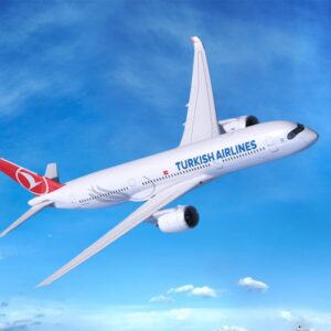 Turkish Airlines georgia