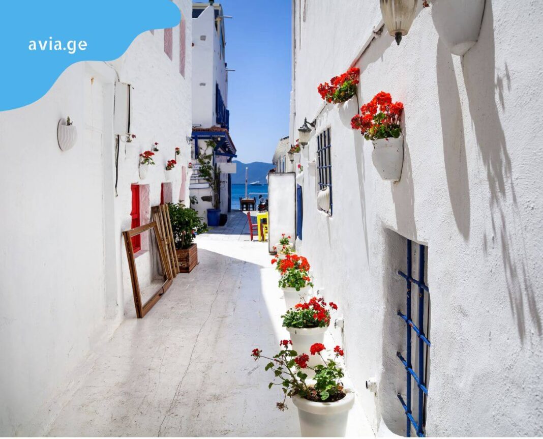 tbilisi bodrumi aviabiletebi tbilisi bodrumis aviabiletebi