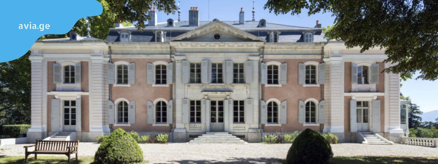 chateau de voltaire lyon