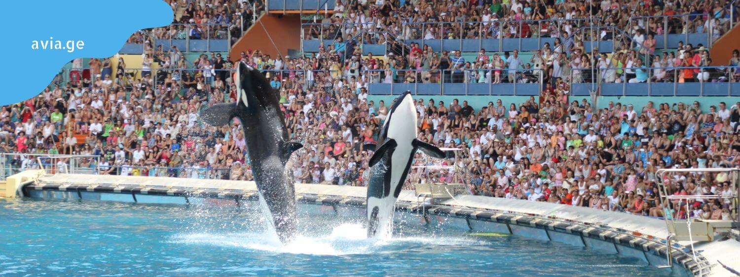 cote d'azur marineland