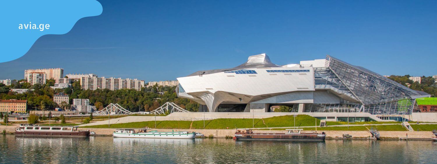 sataveebis muzeumi lioni