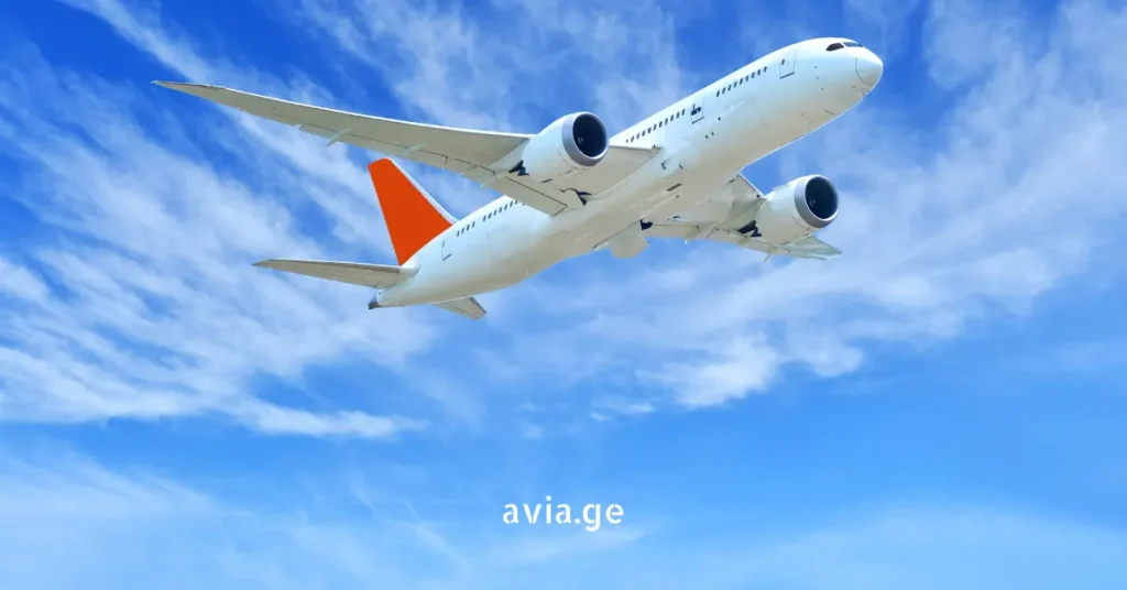 avia.ge