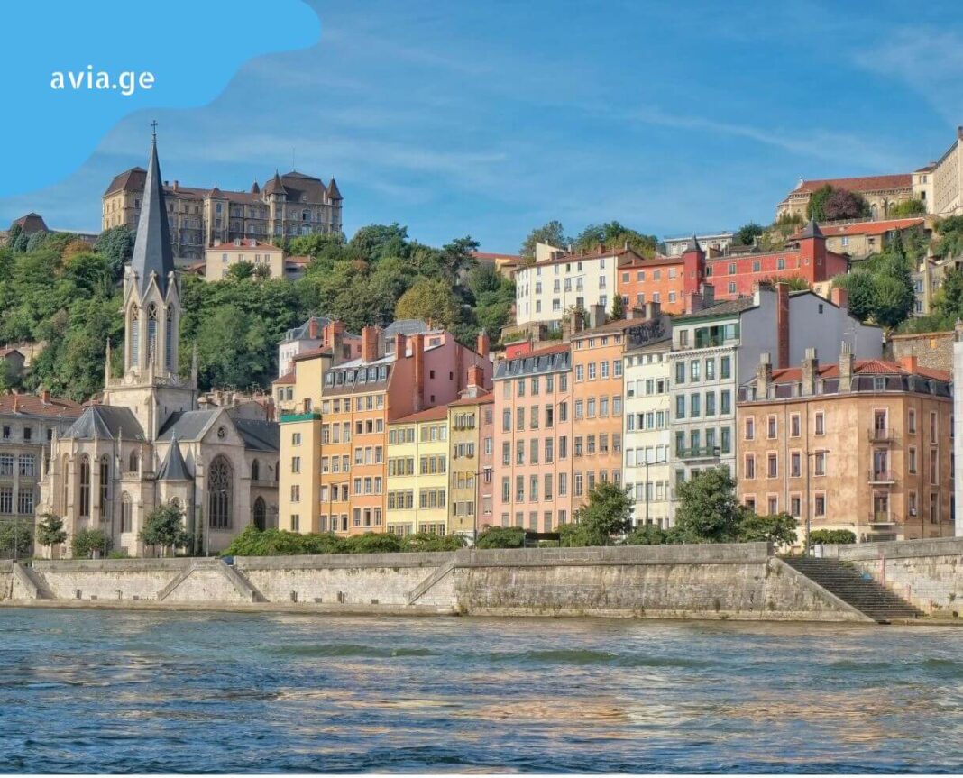 iafi frenebi lionshi iafi frenebi lionshi