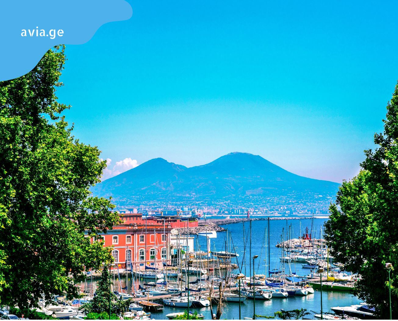 kutaisi neapolis aviabiletebi