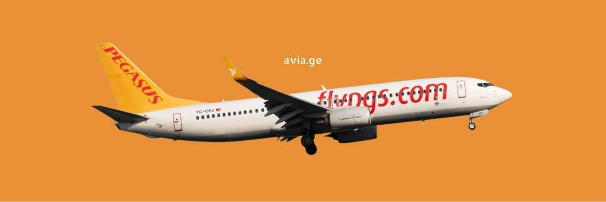Pegasus Airlines flights