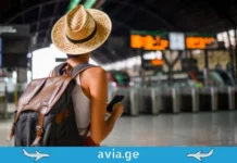 2025 წლის შეჯამება, ყველაზე მოთხოვნადი მიმართულებები mogzaurta raodenoba saqartvelodan