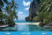 TOP 5 თბილი ქვეყანა ზამთარში დასასვენებლად (ვიზის გარეშე) Tropical beach with palm tree