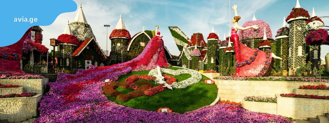 Miracle Garden