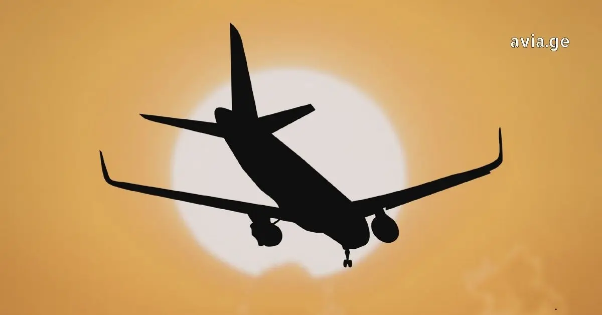 Airplane silhouette landing with gear down directly over a large setting sun, avia.ge watermark.