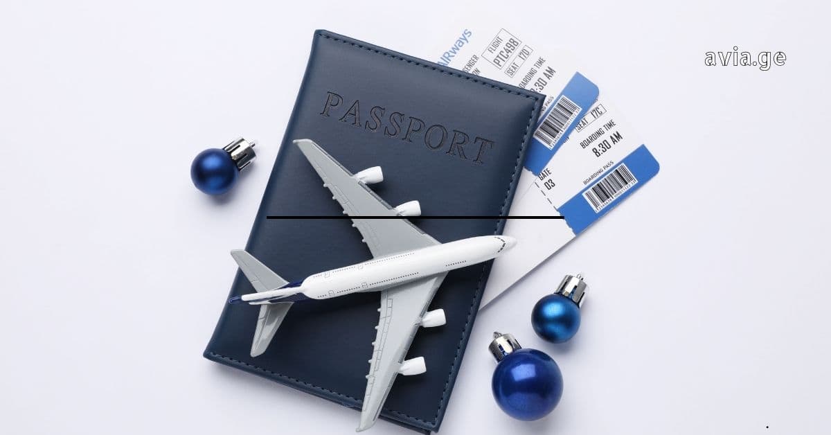 plane, passport, tickets and avia.ge logo