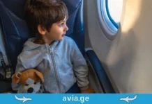 პირველი ფრენა ბავშვთან ერთად: როგორ ვაქციოთ ცაში მოგზაურობა თავგადასავლად და არა სტრესად A little boy in a grey hoodie sitting in an airplane seat, holding a stuffed dog toy and looking out the window.