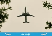 ევროპული ავიაციის კრიზისი და ახალი შესაძლებლობები: რატომ უნდა შეიძინოთ ავიაბილეთები დღესვე? Airplane seen from below, flying through a canopy of oak leaves.