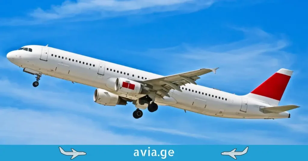 Passenger airplane in flight