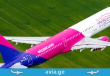 Wizz Air-ის კოლაფსი: ერთ თვეში 32%-ით დაეცა – რა ხდება ევროპის ერთ-ერთ უდიდეს ბიუჯეტურ ავიაკომპანიასთან? Overhead shot of a Wizz Air Airbus plane flying over a green field
