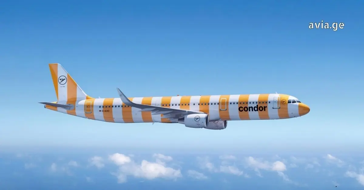 მოხატული კონდორის თვითმფრინავი