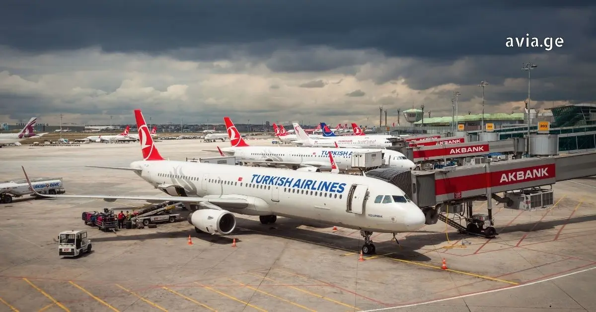 თურქეთის ავიახაზები აეროპორტში