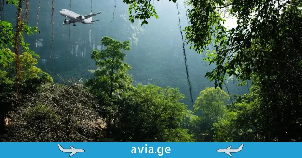 თვითმფრინავი დაფრინავს მწვანე ჯუნგლების თავზე, მთების ფონზე.