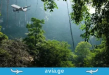 სასწაული ამაზონის ჯუნგლებში: 17 წლის გოგონა, რომელიც ციდან (თვითმფრინავიდან) ჩამოვარდა და გადარჩა თვითმფრინავი დაფრინავს მწვანე ჯუნგლების თავზე, მთების ფონზე.