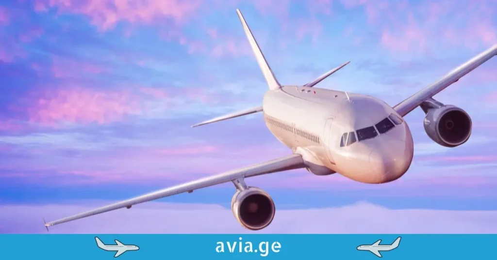 თვითმფრინავი დაფრინავს ფერად, ვარდისფერ ცაზე, avia.ge-ს ლოგოთი.
